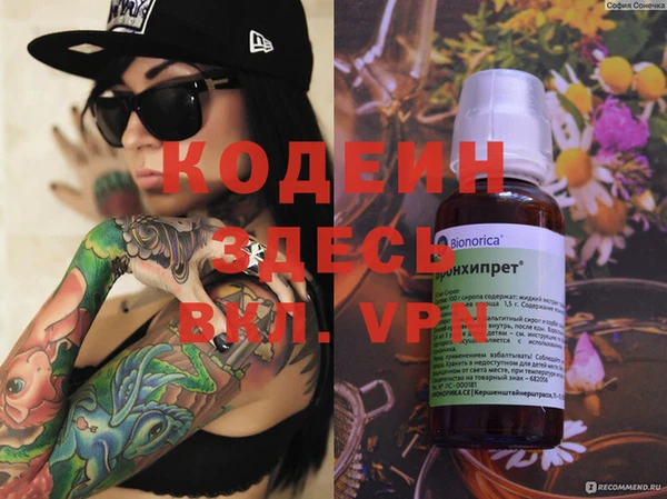 гашик Порхов