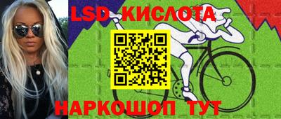 прущие крисы Гусев