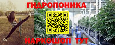 прущие крисы Гусев