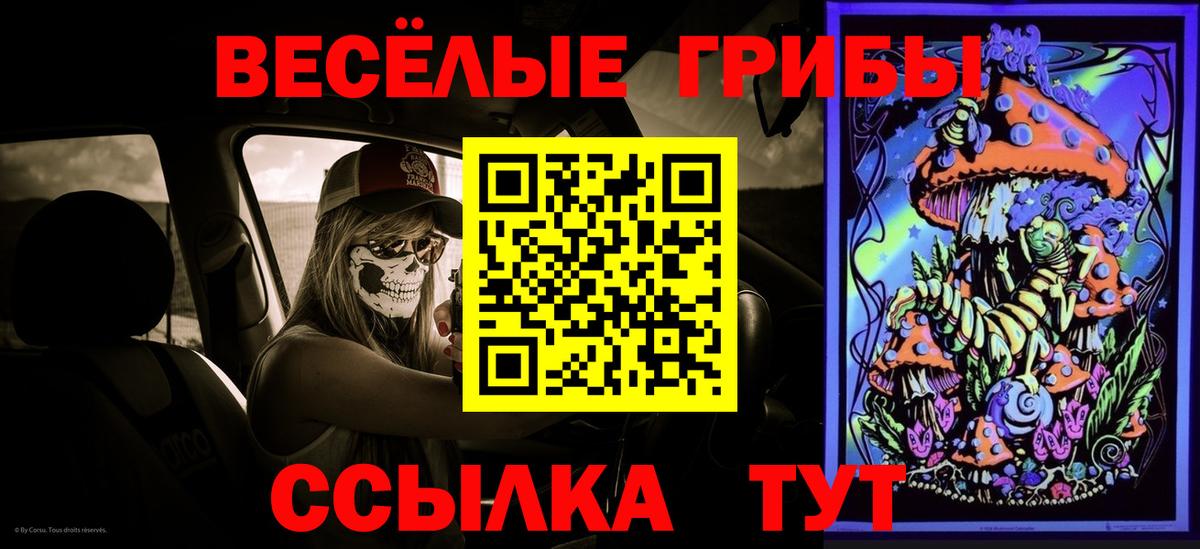 Галлюциногенные грибы MAGIC MUSHROOMS Строитель