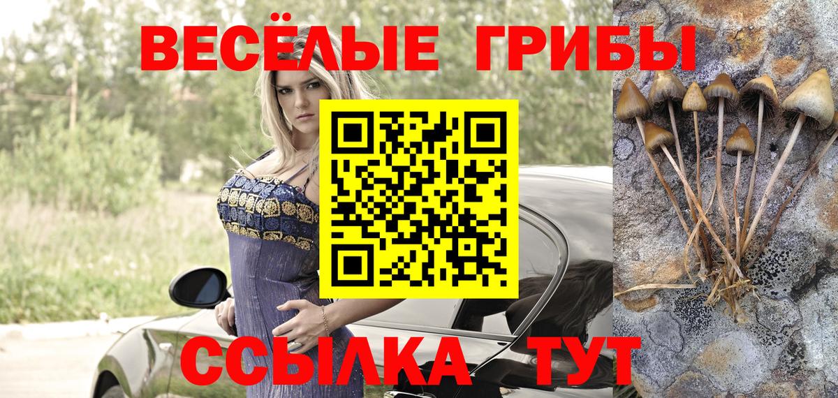 Строитель  Псилоцибиновые грибы прущие грибы  Вход с VPN 